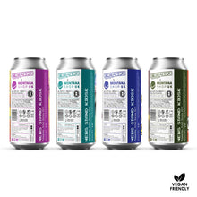 Load image into Gallery viewer, News Stand Kiosk - Case of 12 Cans (440ml)